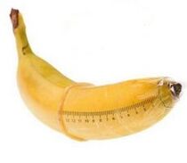 The condom banana mimics an enlarged buck