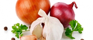 the onion the garlic
