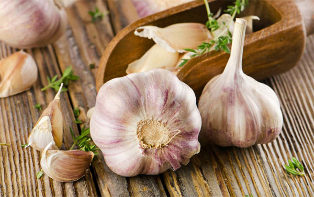 the garlic is useful