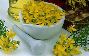 Recipes from st. john's wort to improve erection