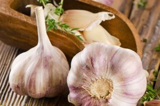 The funds on the basis of garlic